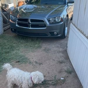 Meet your Posher, Arturo